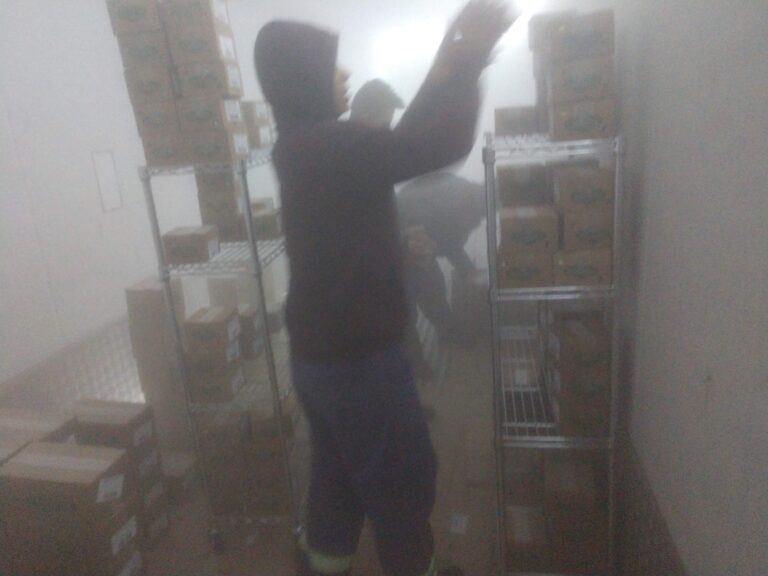 IMG_20181217_085900778